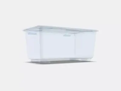GLIS Box with lid Low-poly 3D model