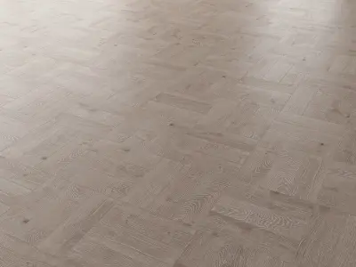 Parquet Oak Nordic NEW WWL set 3 3D model