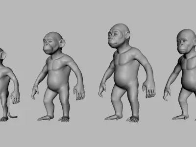 Baby Primate BaseMesh  Low-poly 3D model