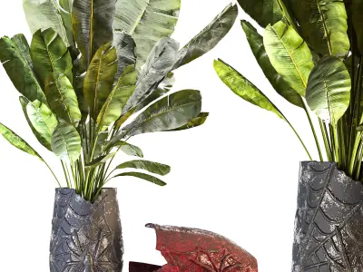 Concrete Pot Plant Set 05 3D model