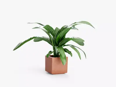 Plant in pot 3D model