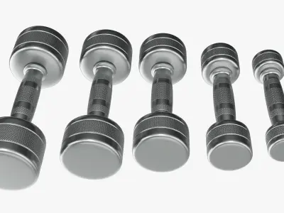 Dumbbell set chrome 3D model