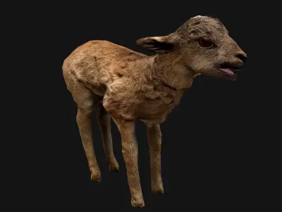 Deer and Crocodile Herbivore and Predator Low-poly 3D model