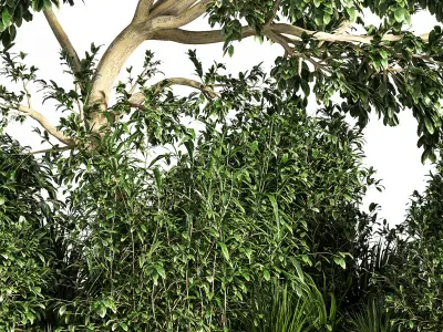 Garden set bush and Tree Set07 3D model