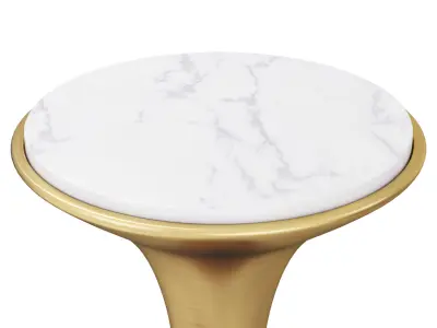 Silhouette Pedestal Drink Table and Marble Coffee Table 3D model