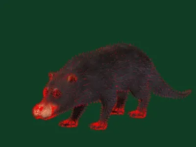 Otter Civet Mammal Low-poly 3D model