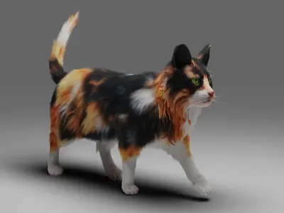 Fur Calico Cat V04 Rigged Low-poly 3D model