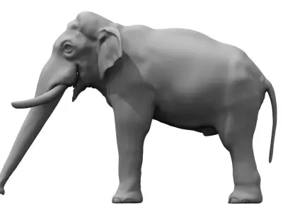 elephant 3d model 3D model purchase