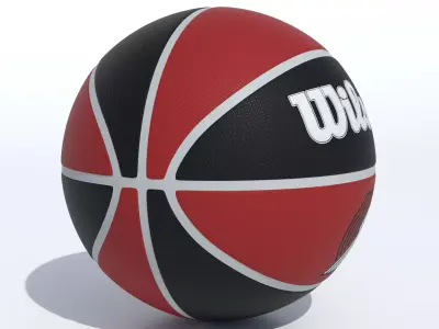 Wilson Portland Trail Blazers Basketball 3D model
