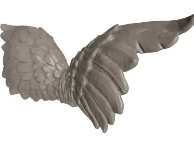 Detailed Angelic Mythological Wings 3D Print Model  3D print model