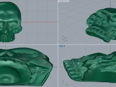 Skull 10 3D print model