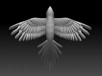 parrot flying in air 3D print model