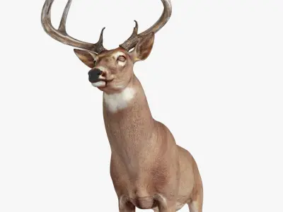 Deer Rigged Low-poly 3D model