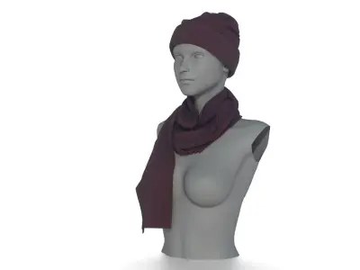 HAT AND SCARF 3D model