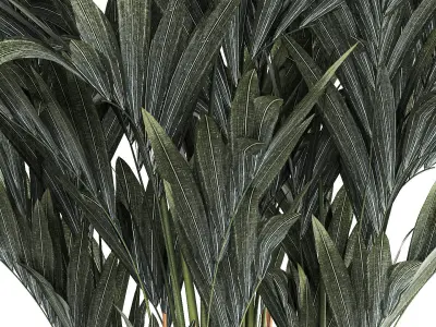 Beautiful palm tree in a flower pot for decoration 1281 3D model