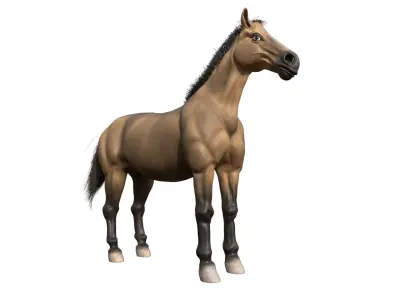Horse 3D model 30