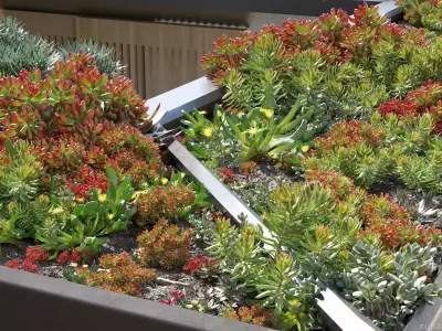 Maxtree Plant Models Vol 14 - Mesh 3D model