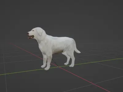 Great Pyrenees Patou Dog 3D model