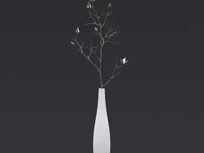 Dry Plants and Flowers Pack 3D Model Collection