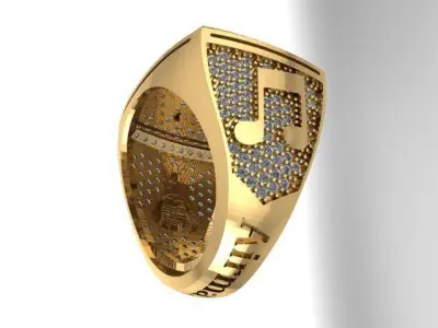 Ring Championship 3D print model