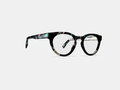 Isla Eyeglasses in Aventurine Tortoise 3D model