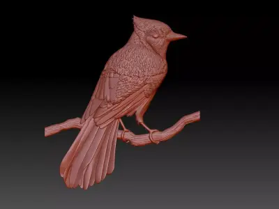 Woodpecker Bird 3D print model