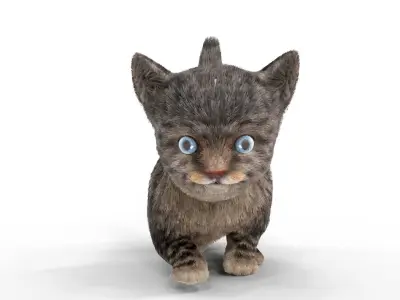 Fur Cute Cat kitten Dark Gray Animated Low-poly 3D model