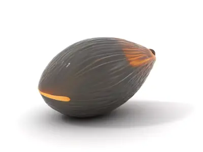 Glossy Black Capsule model pack Low-poly 3D model