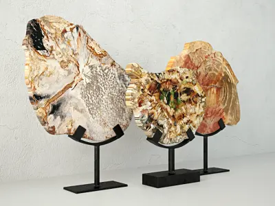 Petrified Wood Slices On Stand 2 3D model