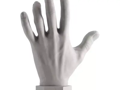 Figurine hand 3D model