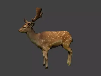 animal deer 3D model