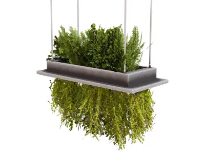Modern Hanging Planter with Cascading Plants Low-poly 3D model