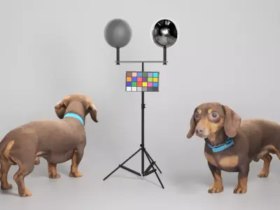 Dachshund dog 11 Low-poly 3D model