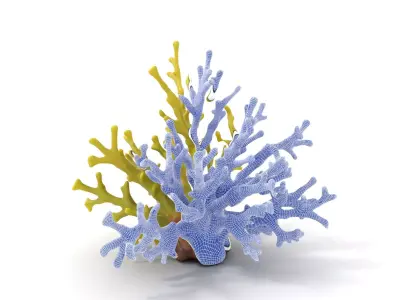 Vibrant Yellow Coral model pack Low-poly 3D model