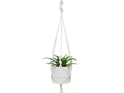 Plant in White Hanging Pot 3D Model 3D model