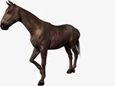Horse Rigged Low-poly 3D model