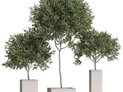 Plants collection 769 3D model