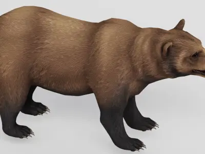AnimalS Collection 3D model