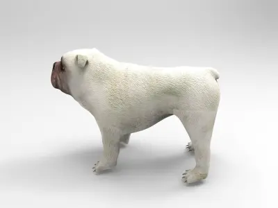 BullDog game ready low poly Model - Low-poly 3D model