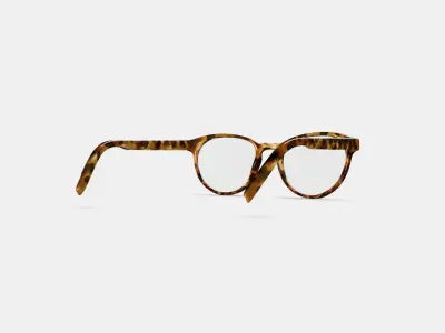 Whalen Eyeglasses in Acorn Tortoise 3D model