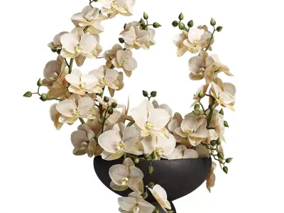 Sculpted Serenity Pink and White Orchids 3D model
