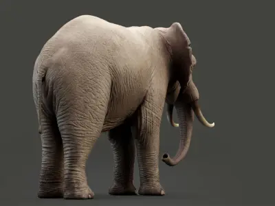 Animated Elephant 8K Low-poly 3D model
