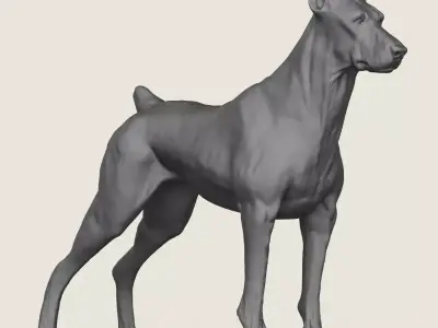 Doberman Dog Print Ready 3D Model 3D print model