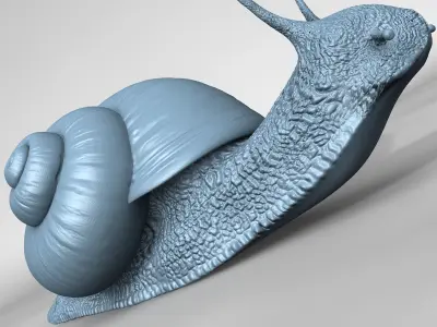 Realistic Snail 3D model