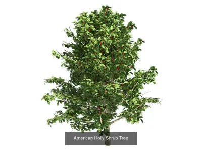 Pot Plants and Flowers Bundle 3D Model Collection