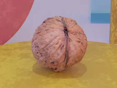 Walnut fruit 03 high-poly 3D model