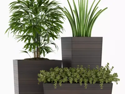 plants set 136 3D model