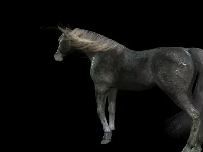 ARABIAN HORSE PUREBLOOD WILD WORLD PONY 2 GREY Low-poly 3D model