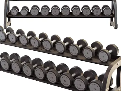 Two Tier Dumbbell Rack 3D model