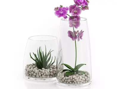 Orchid Flower in Glass Pot 3D model